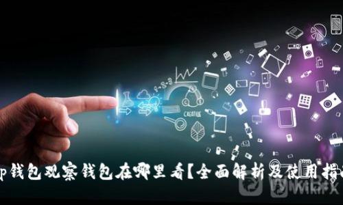 tp钱包观察钱包在哪里看？全面解析及使用指南