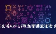 如何使用OKPay钱包苹果版进