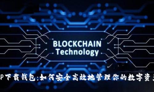 TP下载钱包：如何安全高效地管理你的数字资产