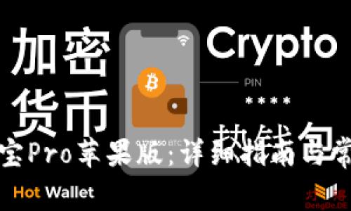 如何下载波宝Pro苹果版：详细指南与常见问题解答