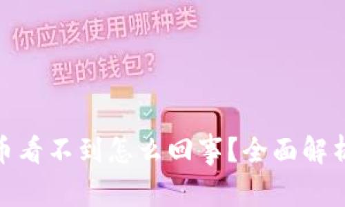 : 冷钱包的币看不到怎么回事？全面解析及解决方案