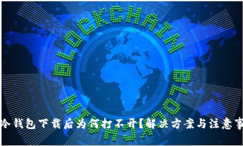 TP冷钱包下载后为何打不开？解决方案与注意事项