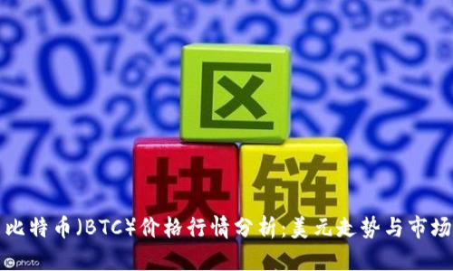今日比特币（BTC）价格行情分析：美元走势与市场动态