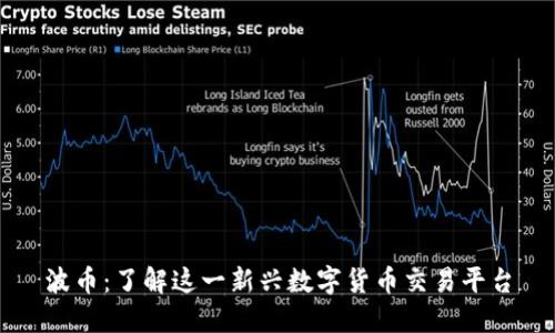 波币：了解这一新兴数字货币交易平台