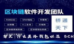 冷钱包 BCH 分叉：什么是冷