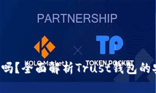 : Trust钱包安全吗？全面解析Trust钱包的安全性与使用技巧