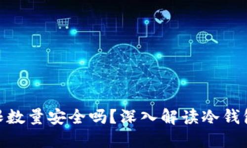 : 冷钱包授权无限数量安全吗？深入解读冷钱包的安全性与风险