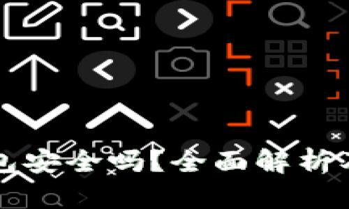 冷钱包电子钱包安全吗？全面解析及风险防范指南