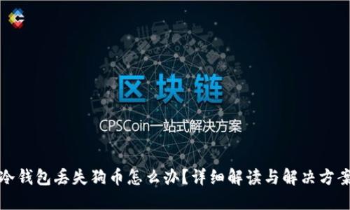冷钱包丢失狗币怎么办？详细解读与解决方案
