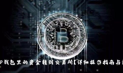 如何将TP钱包里的资金转到交易所？详细操作指南与注意事项
