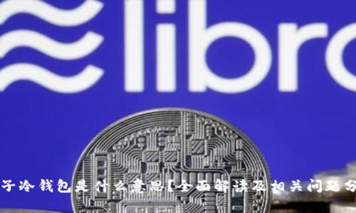 电子冷钱包是什么意思？全面解读及相关问题分析