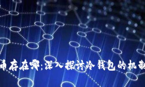 冷钱包的币存在哪：深入探讨冷钱包的机制与安全性