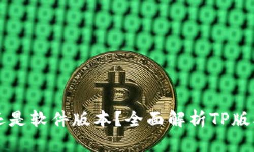 TP版本是硬件还是软件版本？全面解析TP版本的性质与应用