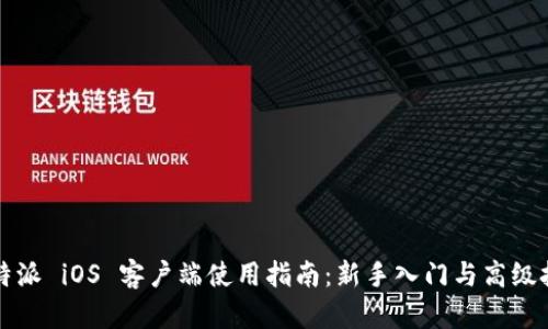 比特派 iOS 客户端使用指南：新手入门与高级技巧