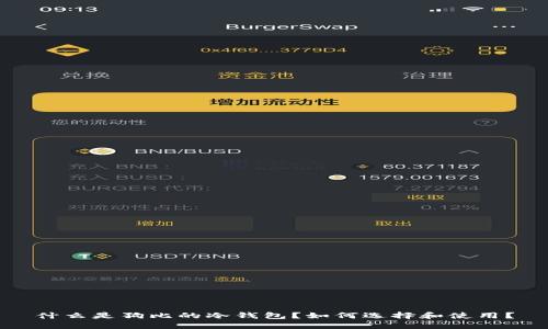 什么是狗比的冷钱包？如何选择和使用？