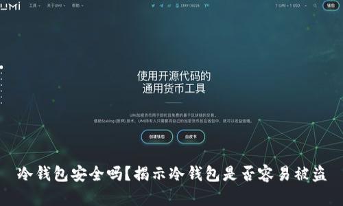 冷钱包安全吗？揭示冷钱包是否容易被盗