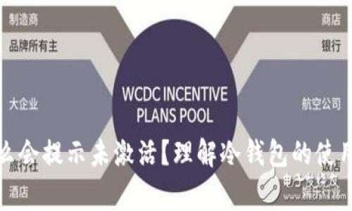 冷钱包为什么会提示未激活？理解冷钱包的使用及常见问题
