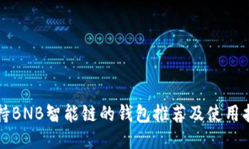 支持BNB智能链的钱包推荐及使用指南