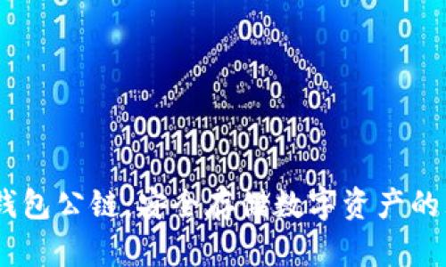 DSIM冷钱包公链：安全存储数字资产的理想选择