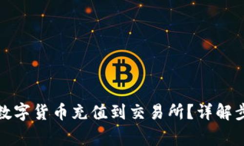 冷钱包如何将数字货币充值到交易所？详解步骤与注意事项