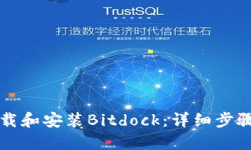 如何下载和安装Bitdock：详细步骤与指南