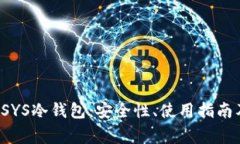全面解析VSYS冷钱包：安全