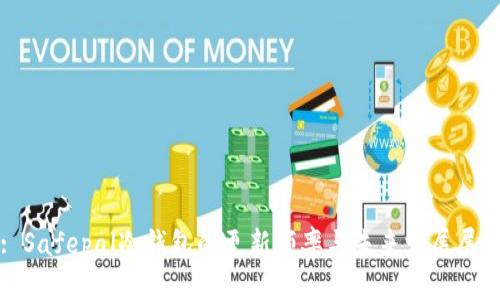 : Safepal冷钱包的更新频率与未来发展展望