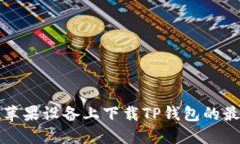 如何在苹果设备上下载T