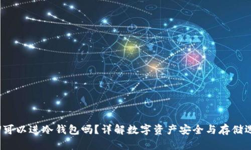 假U可以进冷钱包吗？详解数字资产安全与存储选择