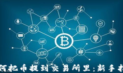 
如何把币提到交易所里：新手指南