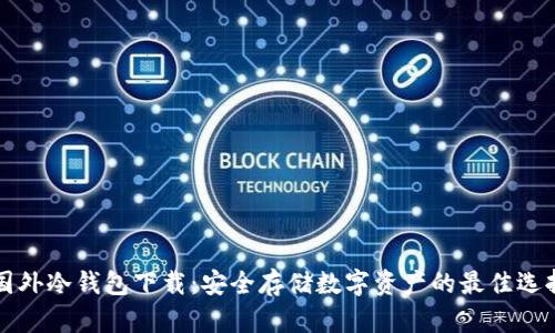 国外冷钱包下载：安全存储数字资产的最佳选择
