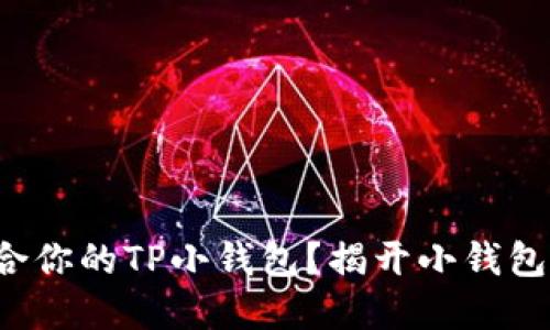 如何选择适合你的TP小钱包？揭开小钱包背后的秘密！