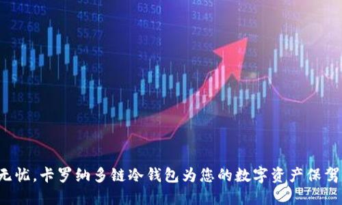 安全无忧，卡罗纳多链冷钱包为您的数字资产保驾护航！