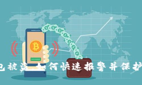 遭遇TP钱包被盗，如何快速报警并保护资产安全？