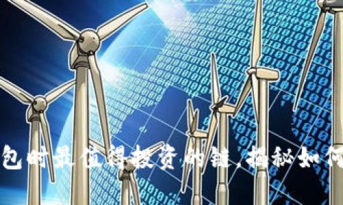 选择TP钱包时最值得投资的链，揭秘如何避免误区