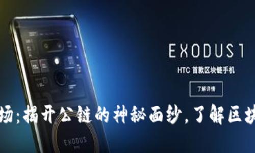 TP钱包波场：揭开公链的神秘面纱，了解区块链的未来