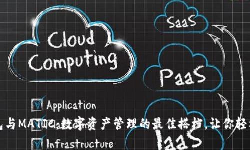 揭秘TP钱包与MATIC：数字资产管理的最佳搭档，让你轻松掌控财富