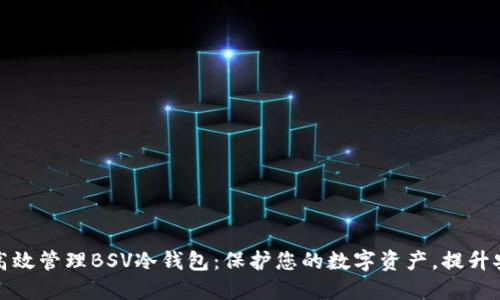 如何高效管理BSV冷钱包：保护您的数字资产，提升安全感