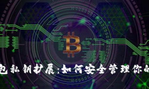 揭秘TP钱包私钥扩展：如何安全管理你的数字资产