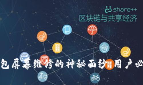 揭开库神冷钱包屏幕维修的神秘面纱：用户必读的维修指南