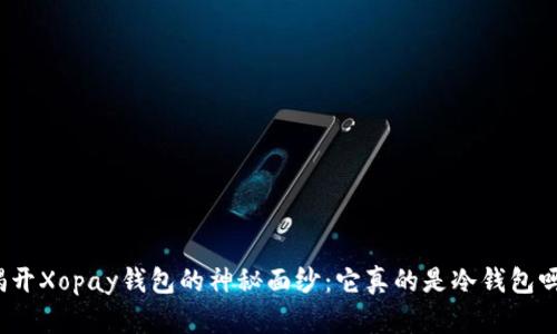 揭开Xopay钱包的神秘面纱：它真的是冷钱包吗？