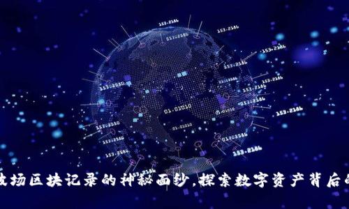 揭开波场区块记录的神秘面纱，探索数字资产背后的故事