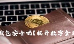 988pay虚拟钱包安全吗？揭开数字金融的神秘面纱