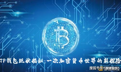 TP钱包现状揭秘：一次加密货币世界的新探险