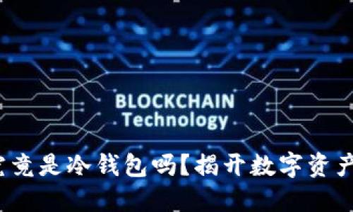 V神的钱包究竟是冷钱包吗？揭开数字资产的神秘面纱