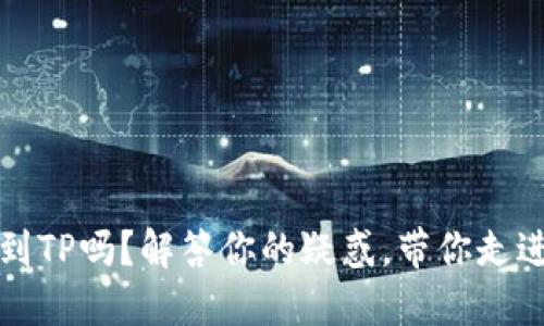 波宝钱包能转到TP吗？解答你的疑惑，带你走进区块链的世界