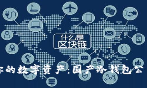 保护你的数字资产：国产冷钱包公司一览