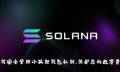 如何安全管理小狐狸钱包私钥，保护您的数字资产