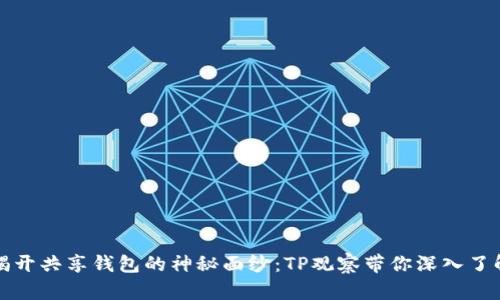 揭开共享钱包的神秘面纱：TP观察带你深入了解
