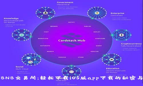 解锁BNB交易所：轻松下载iOS版app下载的秘密与技巧